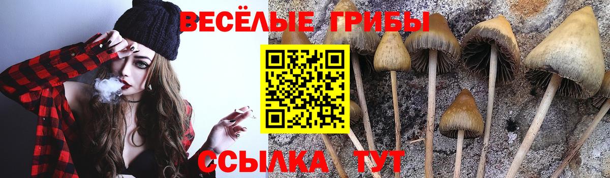 Галлюциногенные грибы мицелий Тихвин