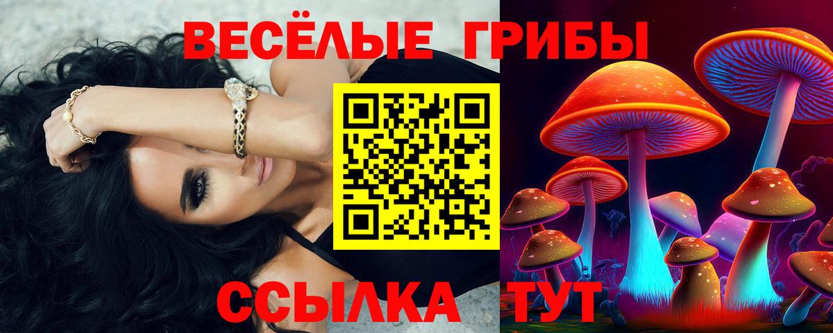 Тихвин  Галлюциногенные грибы MAGIC MUSHROOMS  Вход с VPN 
